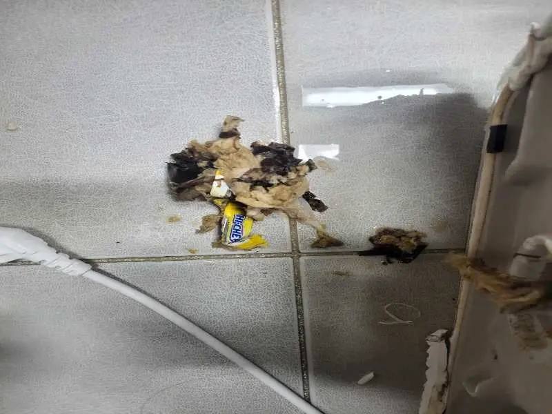 평택 배관 이물질 제거 사례 2